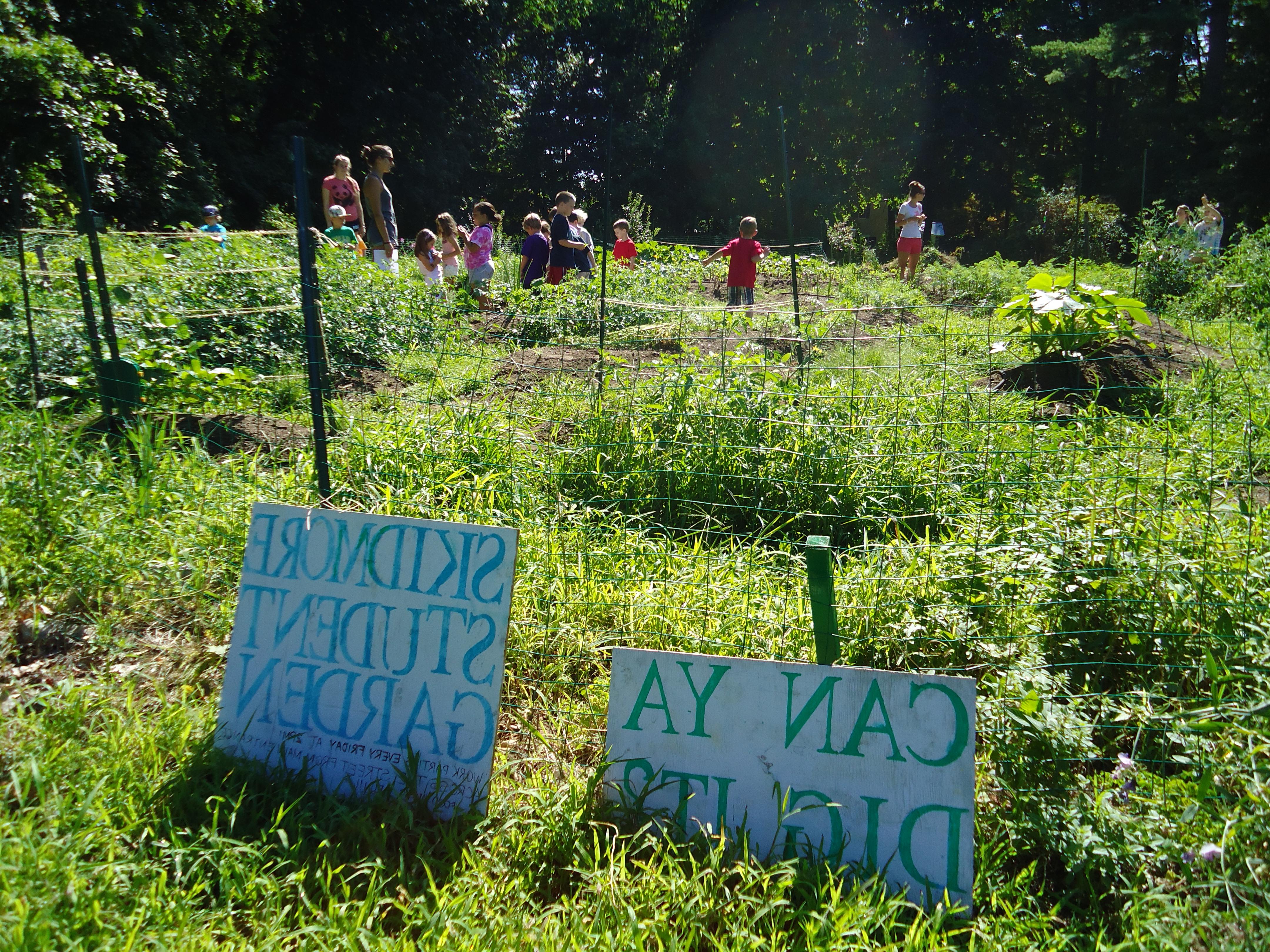 Kids blurry in the background among lush green garden sapce